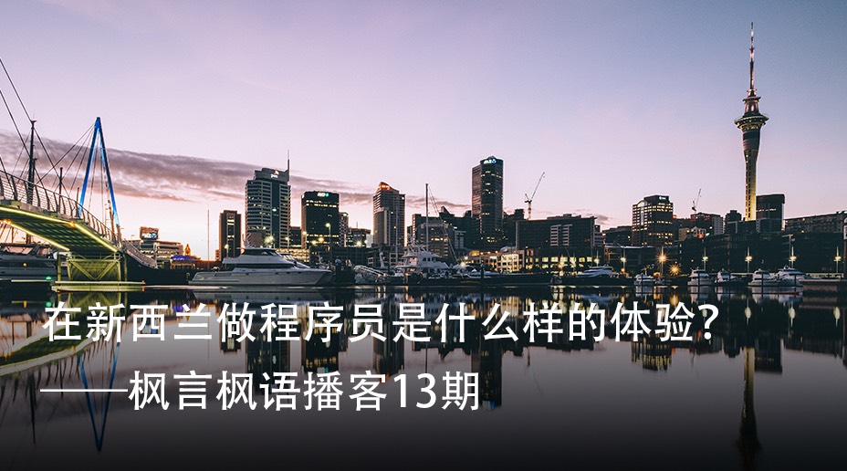 Vol. 13 在新西兰做程序员是什么样的体验？